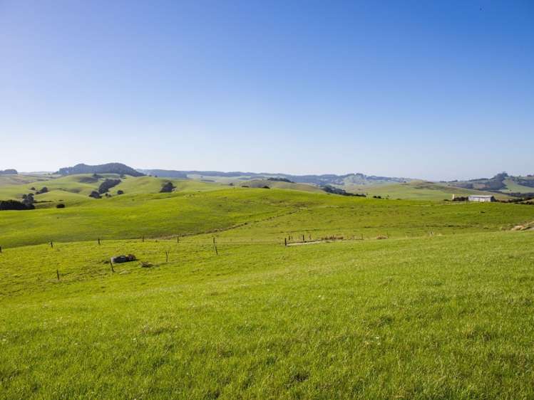 450a Settlement Road Kaiwaka_2