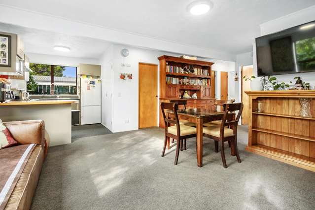 2/45 Copeland Street Hutt Central_4