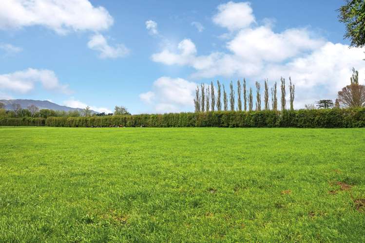 696a Tower Road Matamata_22