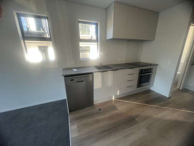 93 Te Ara o Papatahi Wainuiomata_3