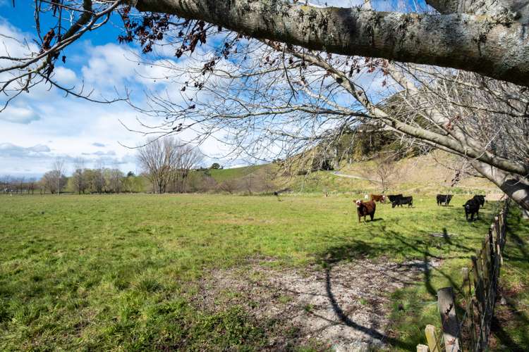 339 Seafield Road Eskdale_28