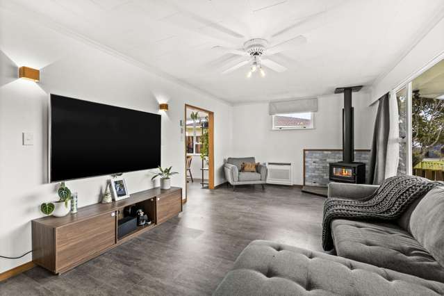 31 Plunket Street Tamatea_1