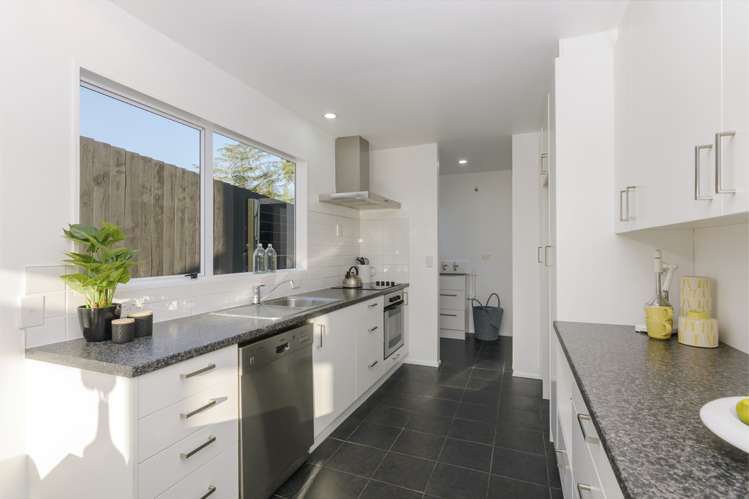 12b Sefton Avenue Grey Lynn_4