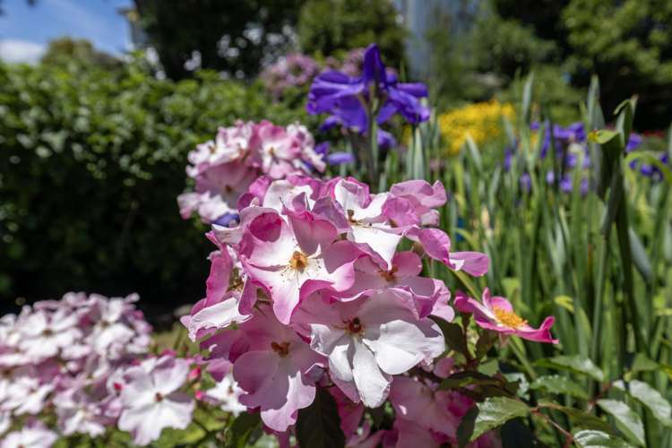 90-92 Kiwi Road Raumati Beach_30