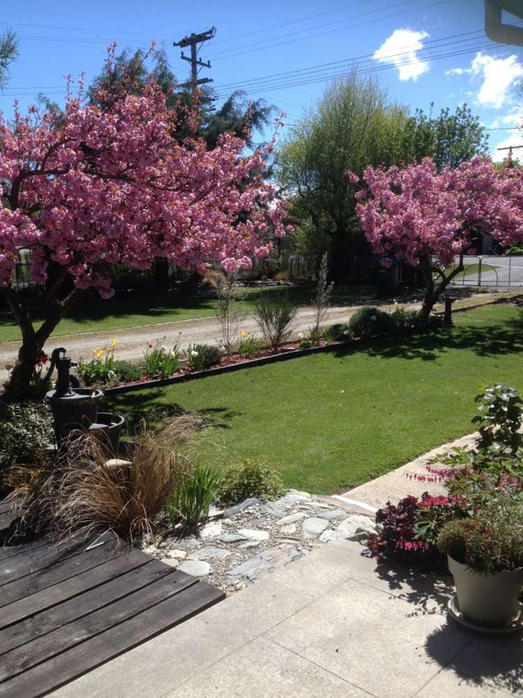 22 Fraser Avenue Ranfurly_15