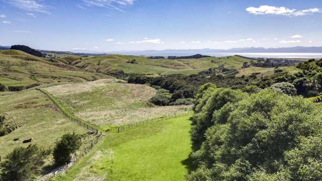 240b Esk Road Miranda_2