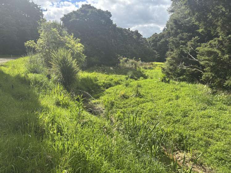 Mata Road Kohukohu_5