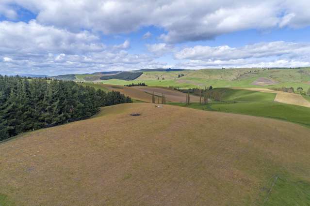 1537 Geraldine-Fairlie Highway Fairlie_4