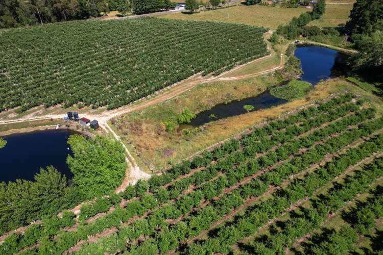 5 Lindup Road Lower Moutere_10