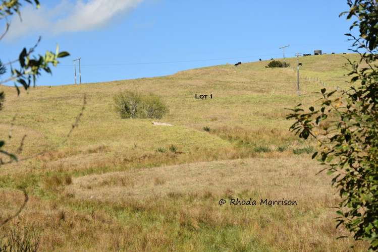 Golden Stairs Rd Maungaturoto_54