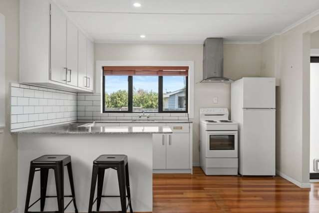 5 Mason Avenue Pukekohe_3