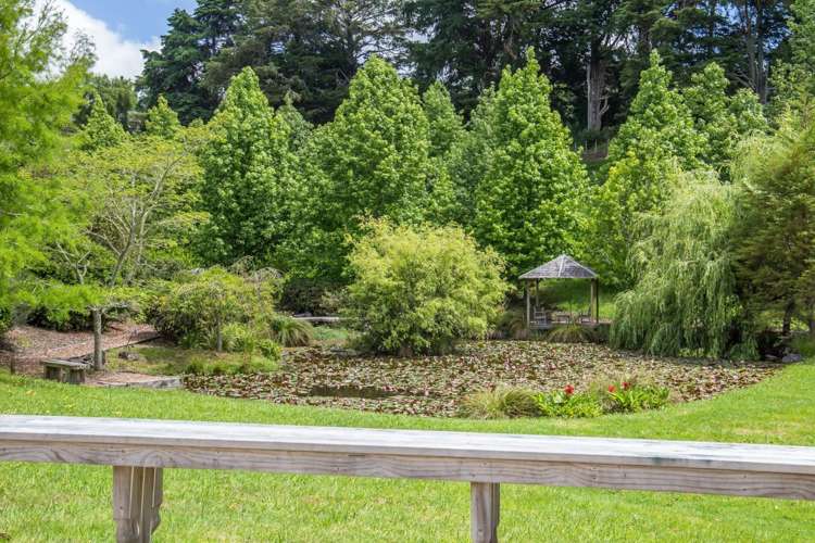 70 Wright Road Dairy Flat_18