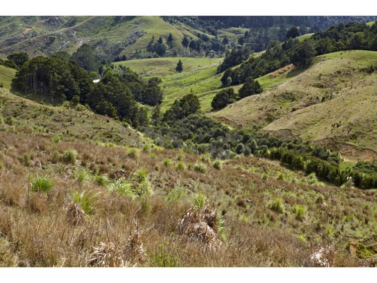 47 Haul Road Tahekeroa_7