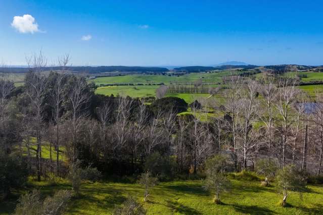 1499 Mangawhai Road Mangawhai_2