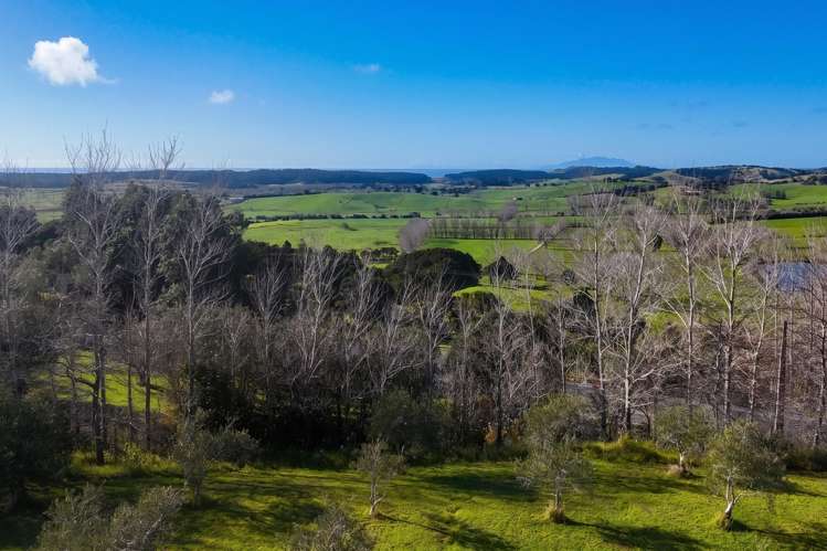 1499 Mangawhai Road Mangawhai_2