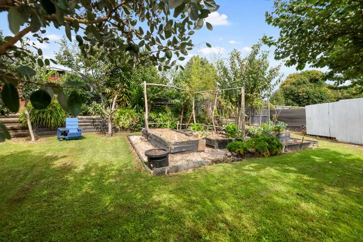 3 Acacia Avenue Kihikihi_6