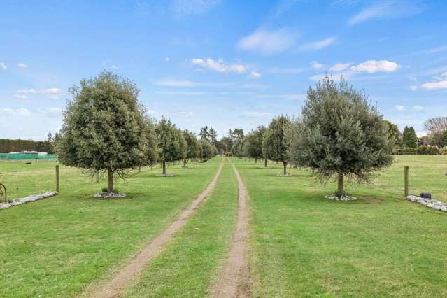 161 Mckays Road West Melton_3