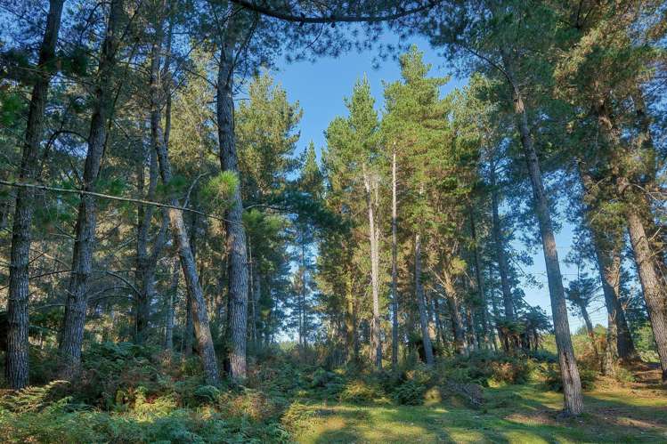 89 Russell Road Kaniere_23