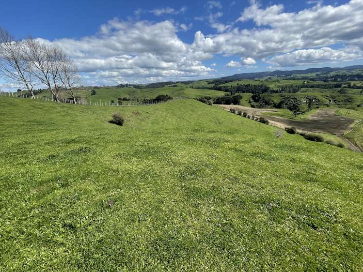 481 Honikiwi Road RD3 Otorohanga_23