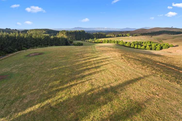 Waterworks Road Te Miro_5