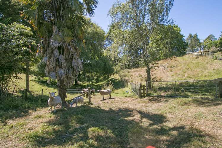 62 Tuapiro Road Hauraki Surrounds_14