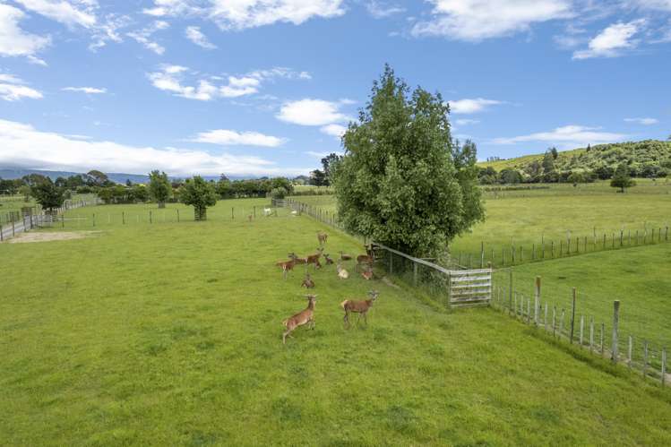 28 Hanlon Road Ashhurst_23