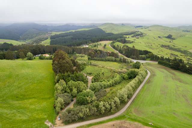 2454 Waikouaiti-Waitati Road Seacliff_2