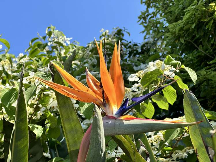 641 Thornton Road Thornton_34