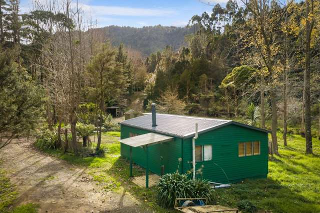 528 Kopu Hikuai SH25A Thames-coromandel_4