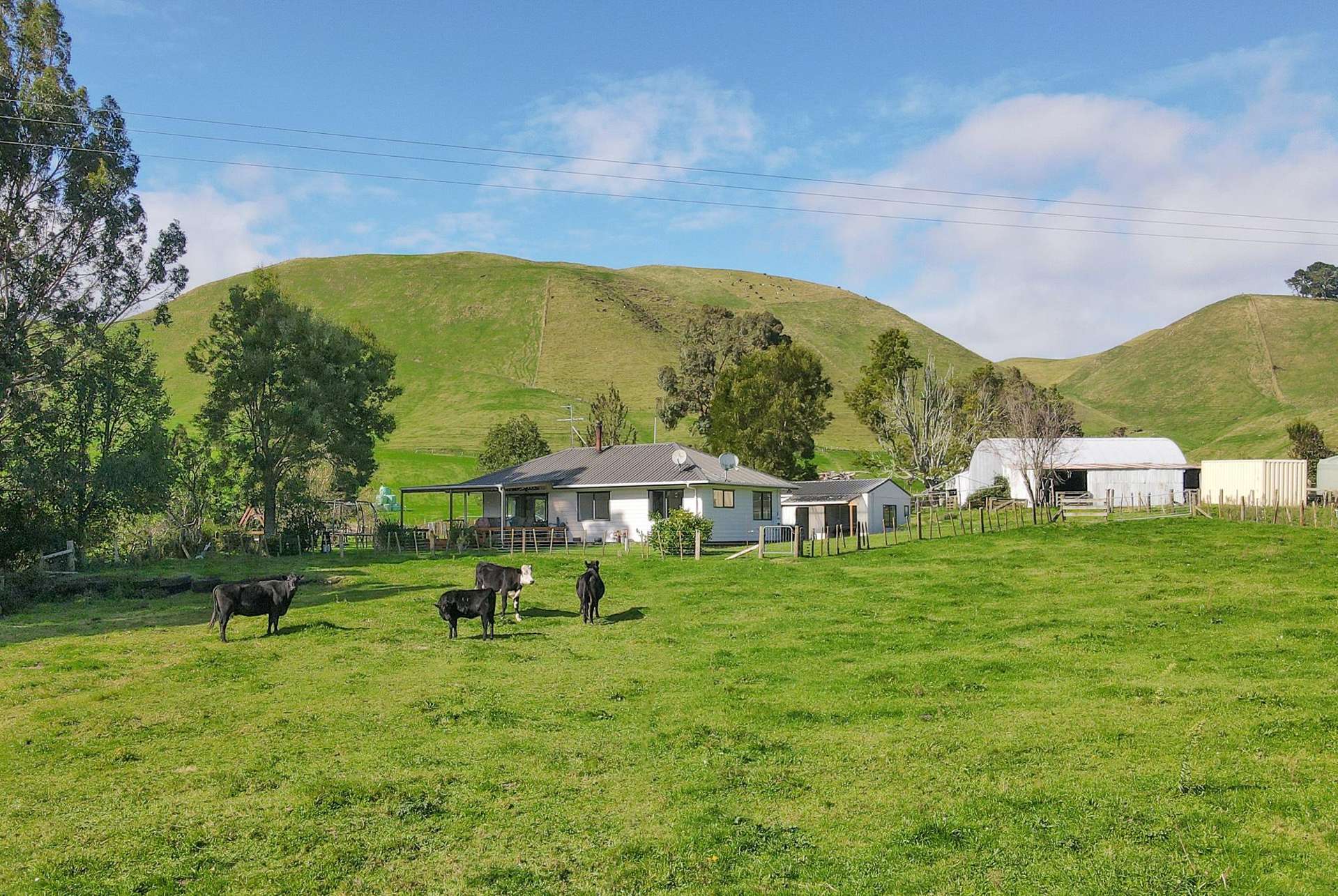 618 Te Weta Road Waikite Valley_0