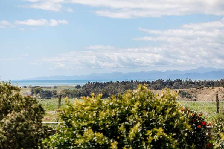 286 Paerata Ridge Road Opotiki_13