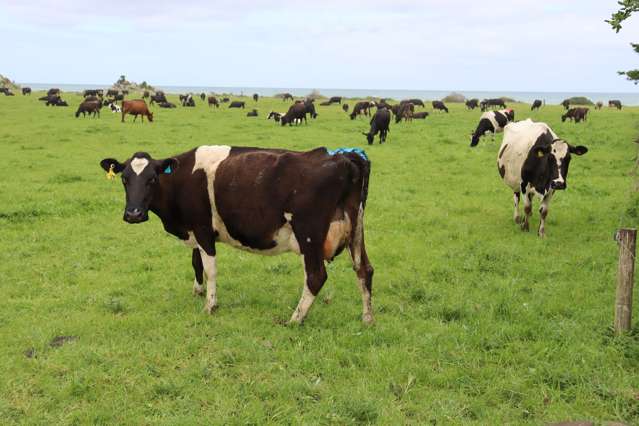 378 Stent Road Warea_1