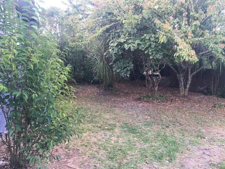 2 Ambler Avenue Glen Eden_9