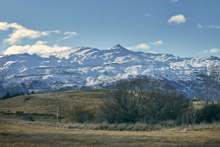 62 Fitzpatrick Road Dalefield_17