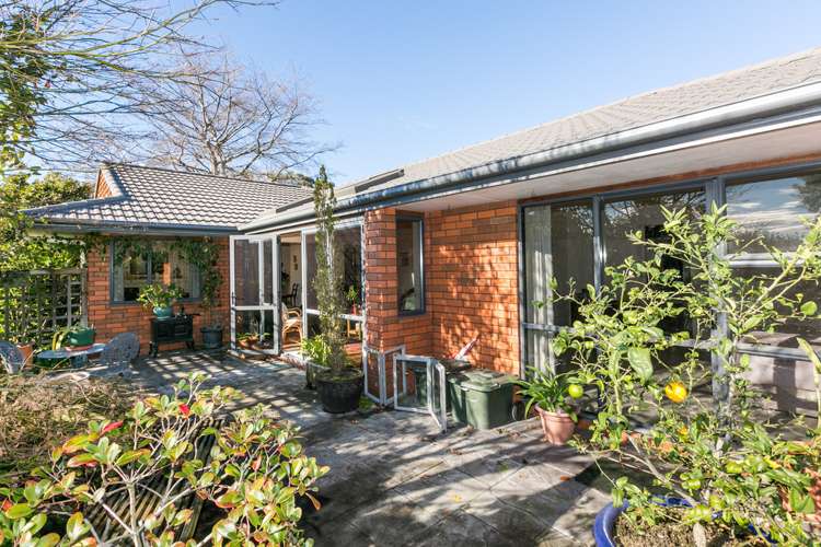 30 Selwyn Road Havelock North_8