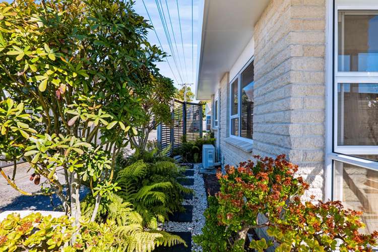 13B Huatoki Street Vogeltown_23