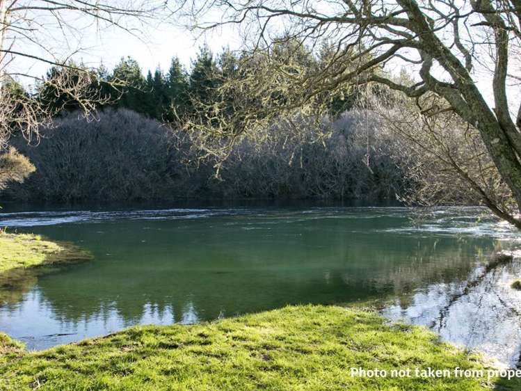 1575 River Road Broadlands_14