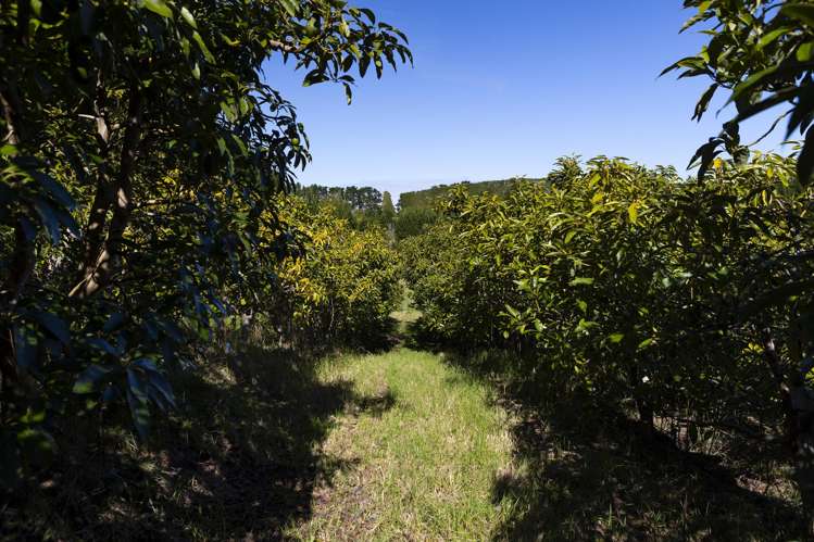3146 Far North Road Pukenui_20