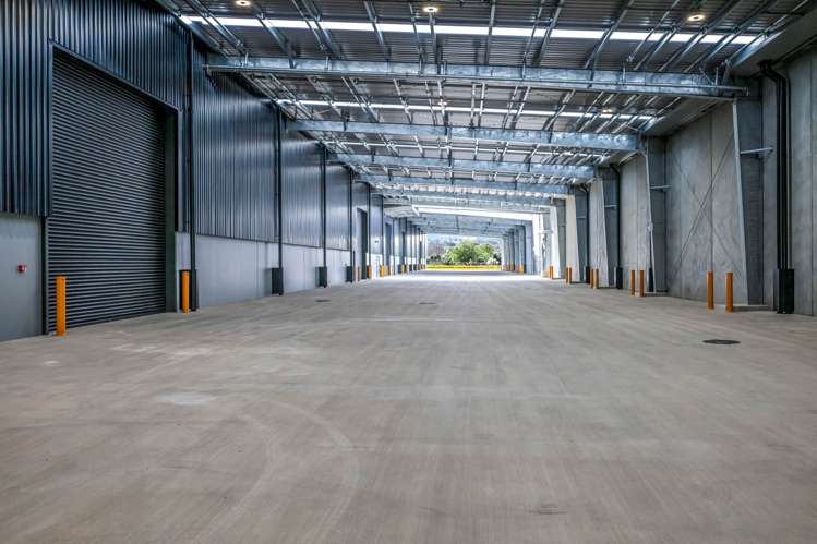 Neilson Street Onehunga_22