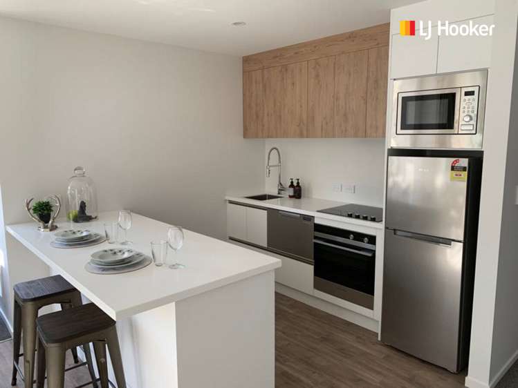 1/432 Great King Street North Dunedin_1