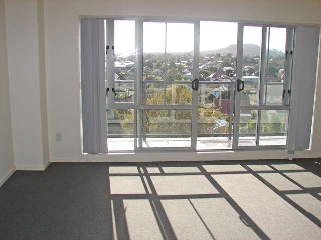 3b/3 Keystone Avenue Mount Roskill_3