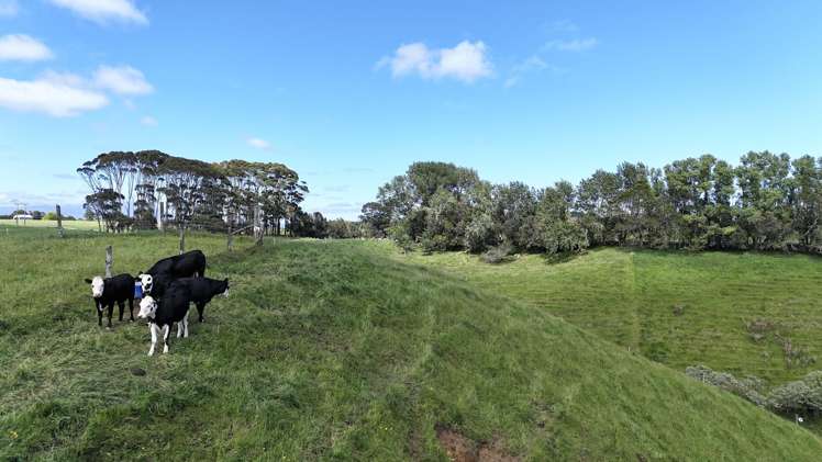 75d Bishop Road Hillsborough_17