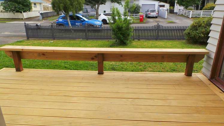 12 Guy Avenue Levin_1