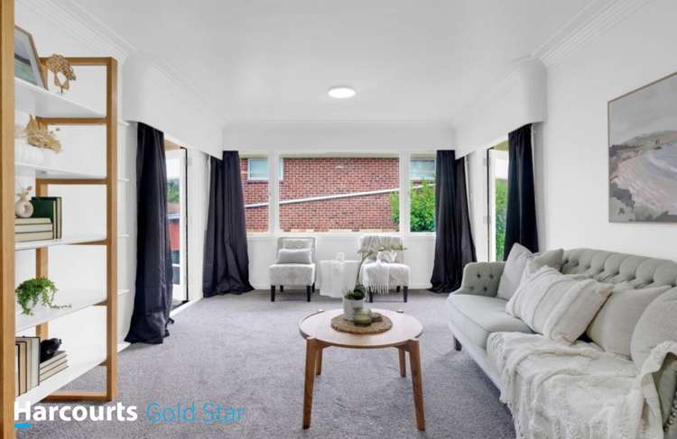 71 Stanley Avenue Te Aroha_5
