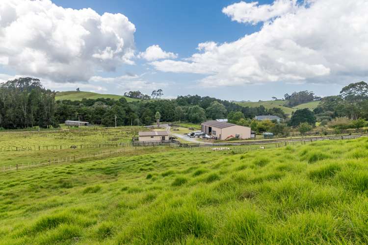 401 Wright Road Matakana_38