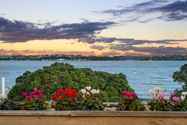 8 King Edward Parade Devonport_71