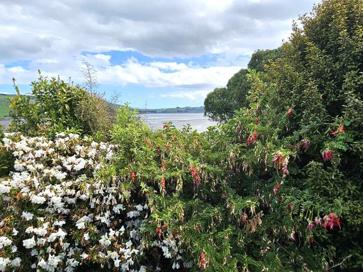 193C Hinahina Road Owaka_21