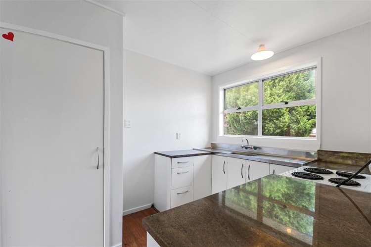 45 Collie Drive Pukehangi_4