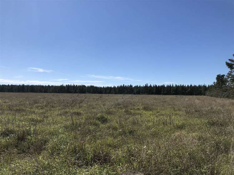 80 Struie Road Hororata_13