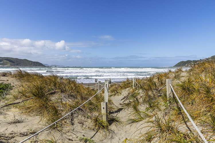 1/48 Lyall Parade Lyall Bay_12